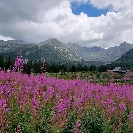 -czarna Gora- Black Apart- Widok Na Tatry, Jacuzzi, Bilard, Game